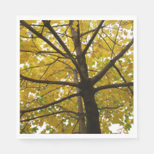 Serviette En Papier Paire d'érables jaunes Automne Nature