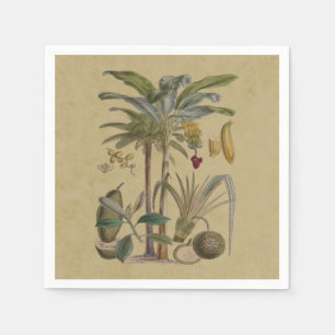 Serviette En Papier Palm Antique Fruit Tropical Art Botanique