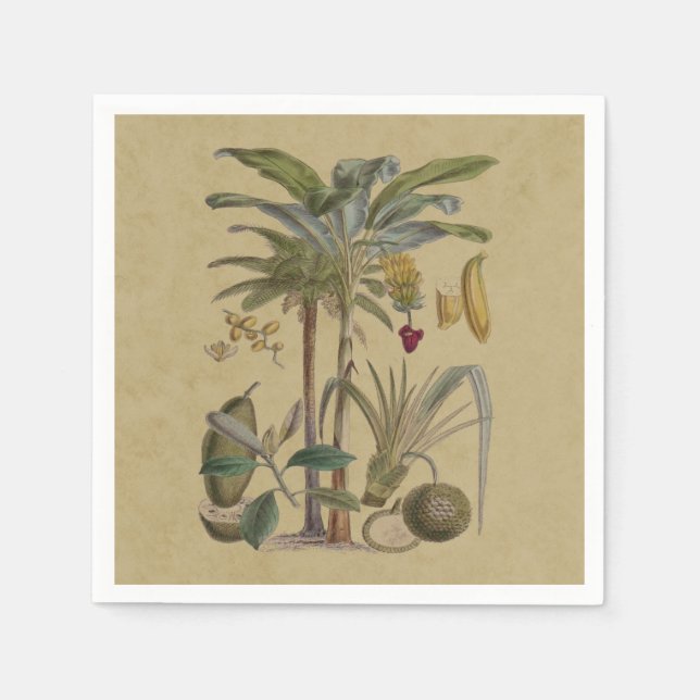 Serviette En Papier Palm Antique Fruit Tropical Art Botanique (Devant)