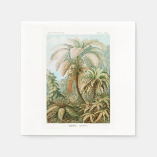 Serviette En Papier Palm Tree Ernst Haeckel