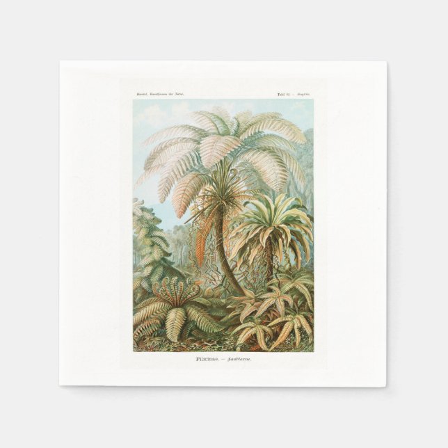 Serviette En Papier Palmier Ernst Haeckel    (Devant)