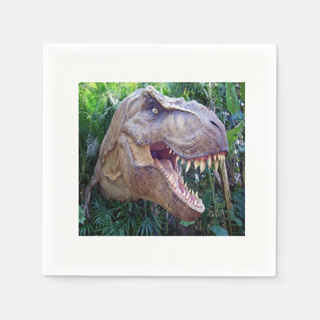 Serviette En Papier Papier (Devant)