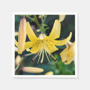 Serviette En Papier Papier