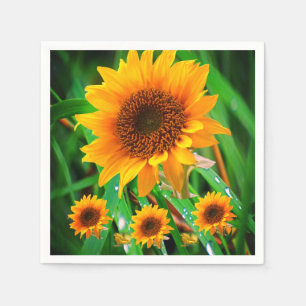 Serviette En Papier Papier