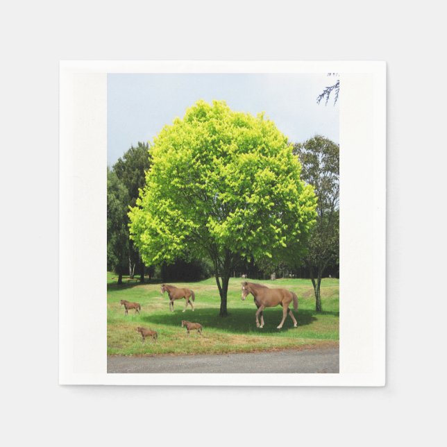 Serviette En Papier Papier (Devant)