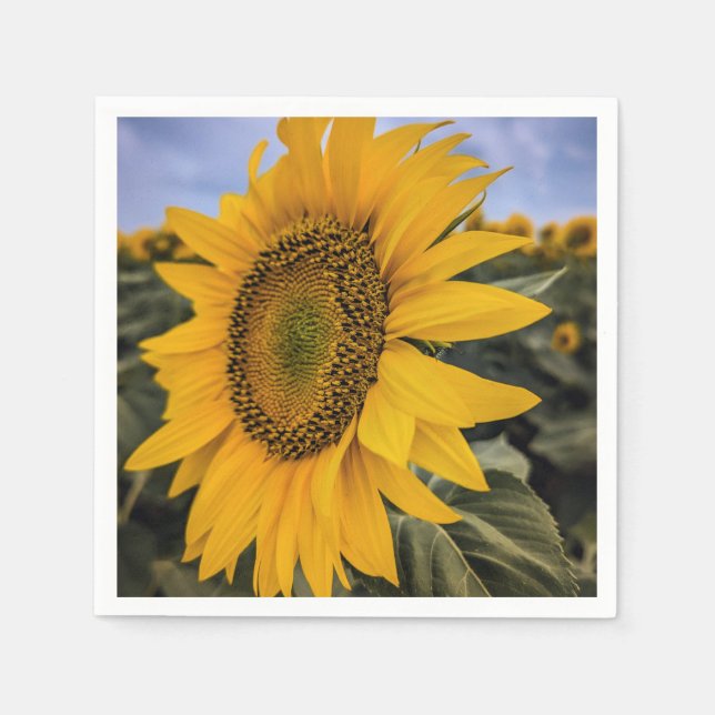 Serviette En Papier Papier (Devant)