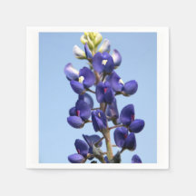 Papier Bluebonnet Texas