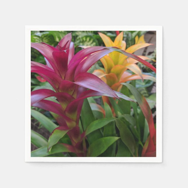 Serviette En Papier Papier bromeliade Napkin (Devant)