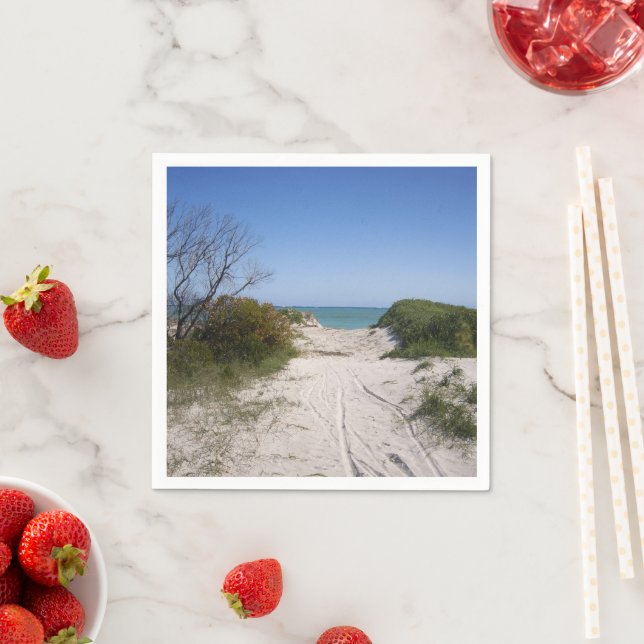 Serviette En Papier Papier Cervantes WA (En situation)