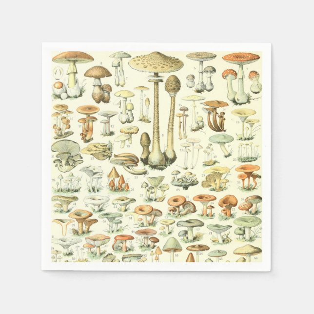 Serviette En Papier Papier de champignons Napkin (Devant)