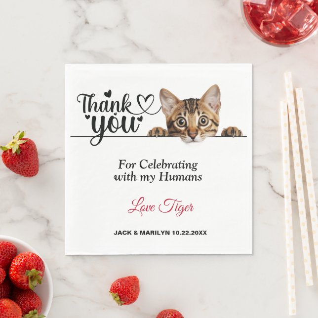 Serviette En Papier Papier de chat à pointe fine serviettes (En situation)