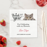 Papier de chat Smokey Gray Peeeeking serviettes