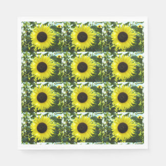 Serviette En Papier Papier de détection de tournesol serviettes