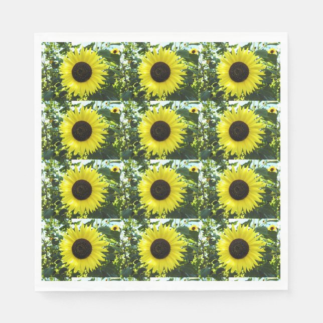Serviette En Papier Papier de détection de tournesol serviettes (Devant)