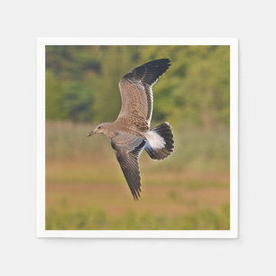 Serviette En Papier Papier de goéland de mer