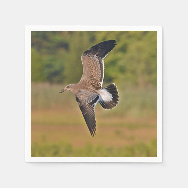 Serviette En Papier Papier de goéland de mer (Devant)