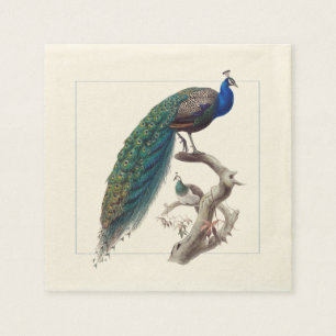 Serviette En Papier Papier d'histoire naturelle élégant de Peacock N