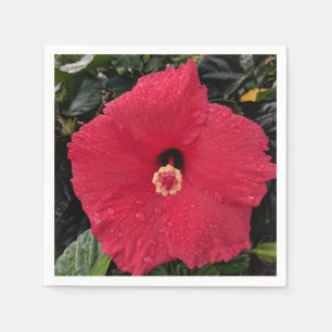 Serviette En Papier Papier Hibiscus Rouge Napkin