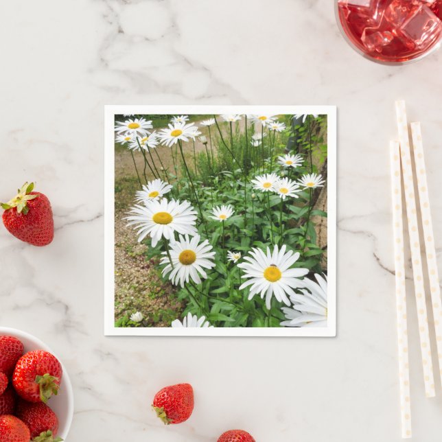 Serviette En Papier Papier Leucanthemum Blooms (En situation)