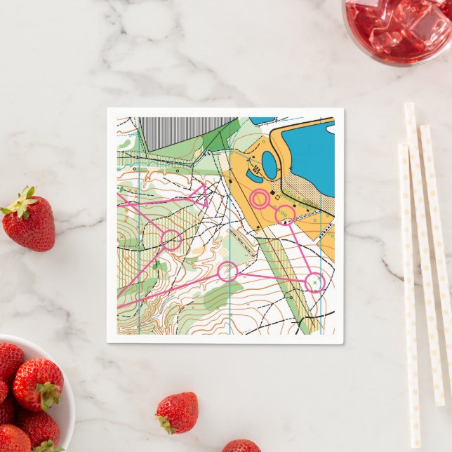 Serviette En Papier Papier Napkin - Carte d'orientation (En situation)