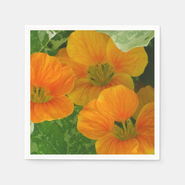 Serviette En Papier Papier Nasturtium brillant (Devant)