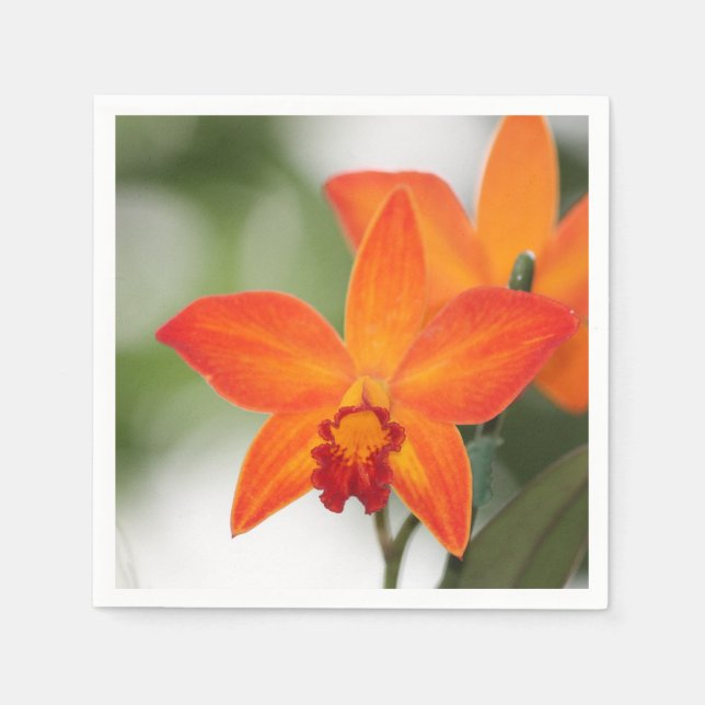 Serviette En Papier Papier Orange Tropical Napkin (Devant)