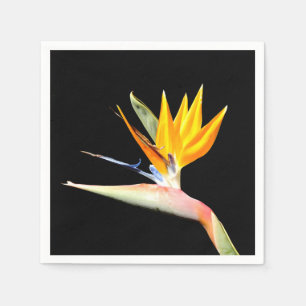Serviette En Papier Papier Plante Bird of Paradise