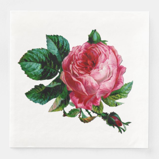 Serviette En Papier Papier Rose de chou (Devant)