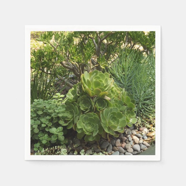 Serviette En Papier Papier Succulent Napkin (Devant)