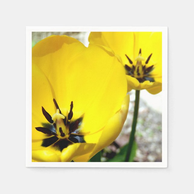 Serviette En Papier Papier Tulipe Jaune (Devant)