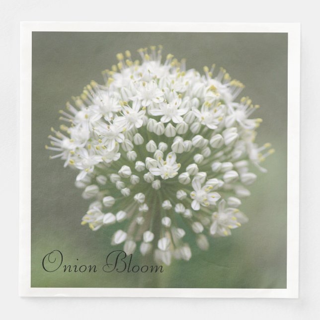 Serviette En Papier Papier vert d'olive (Devant)