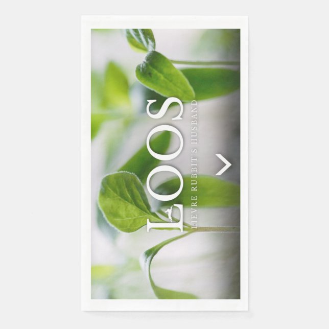 SERVIETTE EN PAPIER PAPIERS ET NAPKINS ACCESSOIRES DE CUISINE (Devant)