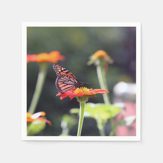 Serviette En Papier Papillon (Devant)