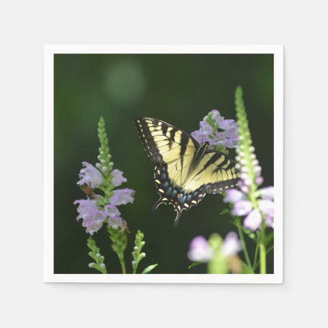 Serviette En Papier Papillon Dans Le Jardin (Devant)