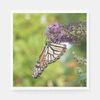 Papillon Monarque sur papillon pourpre Bush