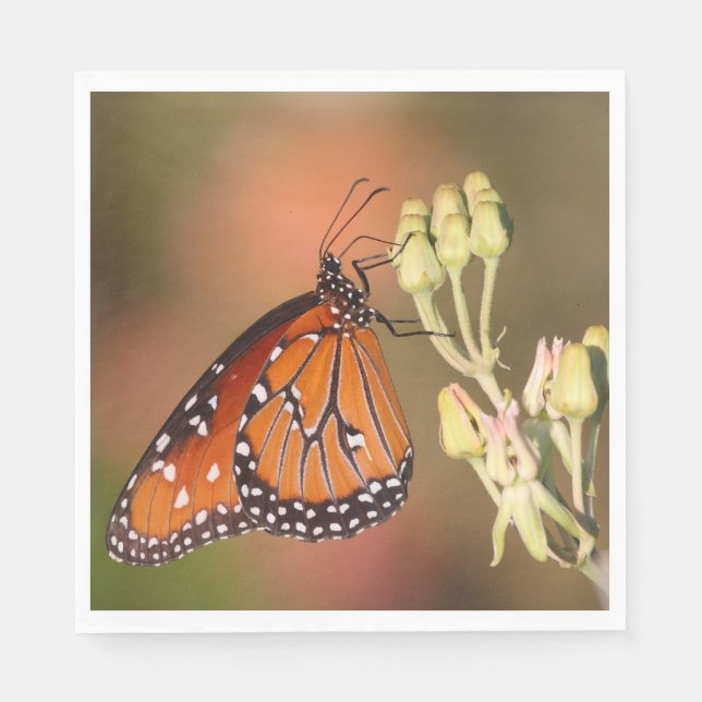 Serviette En Papier Papillon reine sur une branche (Devant)