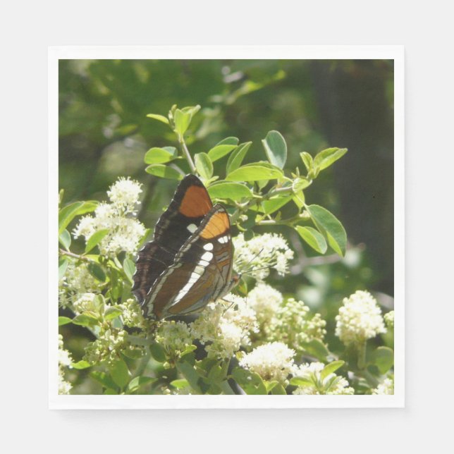 Serviette En Papier Papillon-soeur de Californie en Yosemite (Devant)