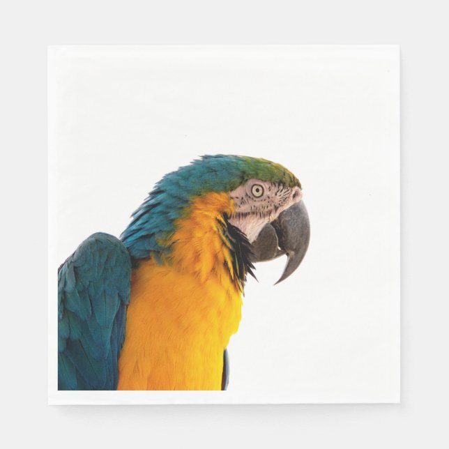 Serviette En Papier Parrot Post-it Notes (Devant)