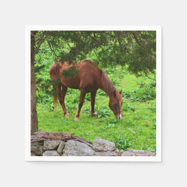 Serviette En Papier Pâturage Cheval Dans Papier Pâturé Napkin (Devant)