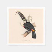 Peinture animalière d'antiquités Toucans
