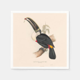 Serviette En Papier Peinture animalière d'antiquités Toucans