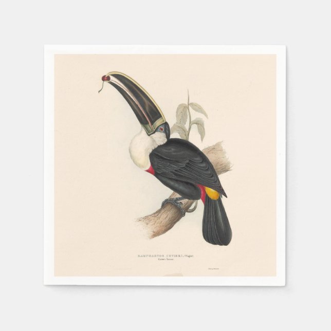Serviette En Papier Peinture animalière d'antiquités Toucans (Devant)
