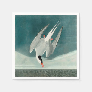 Serviette En Papier Peinture de faune d'oiseau de sterne arctique Audu