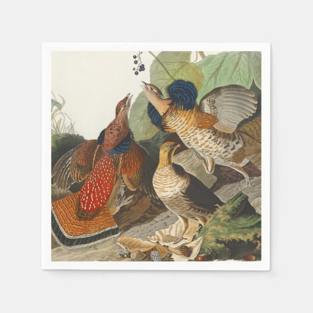 Serviette En Papier Peinture de la faune Audubon du Groupement rouillé (Devant)