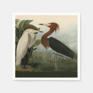 Serviette En Papier Peinture de la faune d'Audubon Heron violet