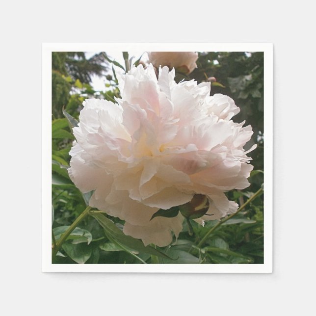 Serviette En Papier Peony. Fleur. (Devant)