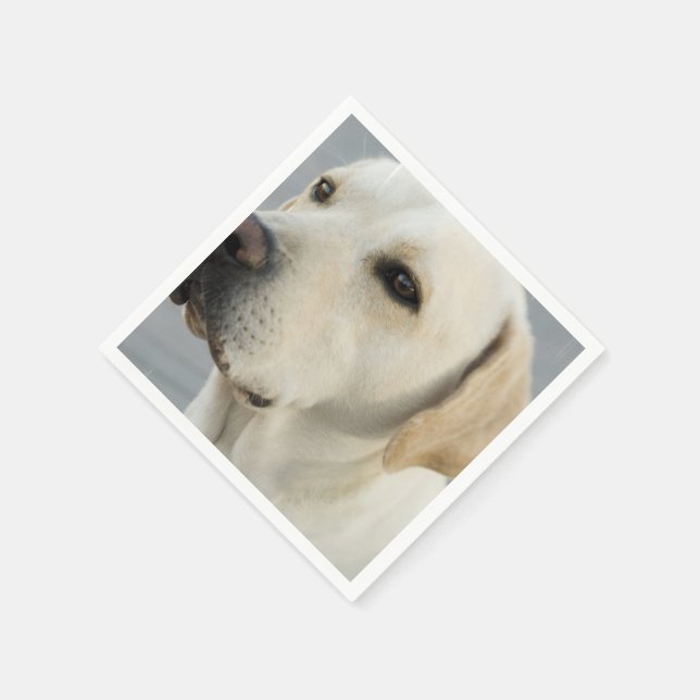 Serviette En Papier Personnaliser (Coin)