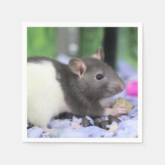 Serviette En Papier Petit rat (Devant)