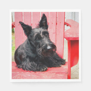 Serviette En Papier Petit Scottie dans un grand fauteuil rouge