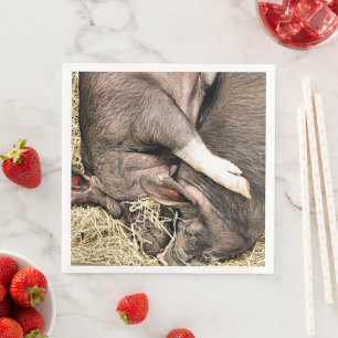 SERVIETTE EN PAPIER PETITS PIÈCES FRAÎCHES